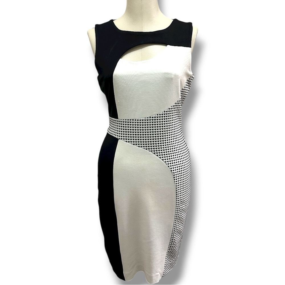 417 Patrizia Luca |NWOT Milano Black & White Colorblock Sheath Dress (size XS-S) - Picture 2 of 13